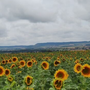 Balade durant un stage de jeûne