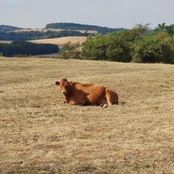 Balade durant un stage de jeûne