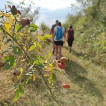 Balade durant un stage de jeûne