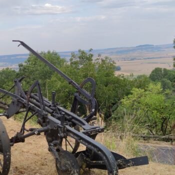 Balade durant un stage de jeûne