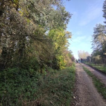 Balade durant un stage de jeûne