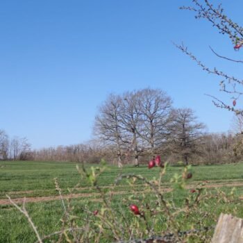 Balade durant un stage de jeûne