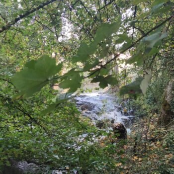 Balade durant un stage de jeûne