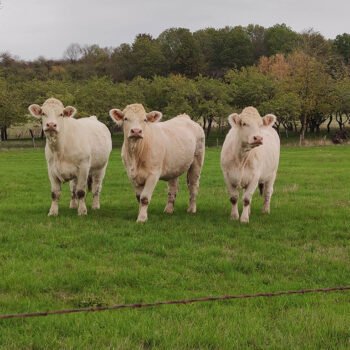 Balade durant un stage de jeûne