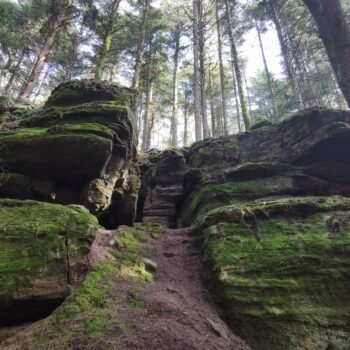 Balade durant un stage de jeûne