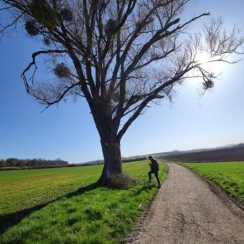 Balade durant un stage de jeûne