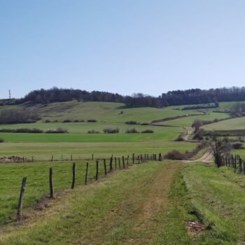 Balade durant un stage de jeûne
