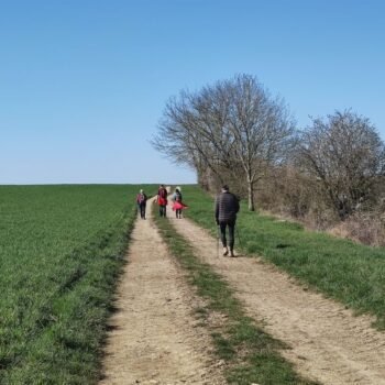 Balade durant un stage de jeûne