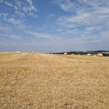 Balade durant un stage de jeûne