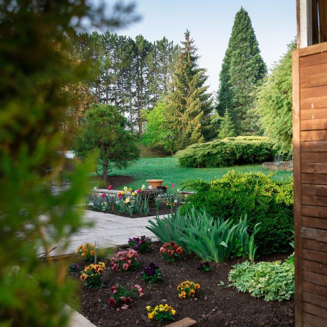 Nos infrastructures dans les Vosges