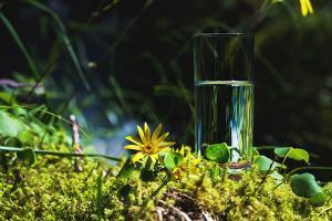 Stage de jeûne de 7 jours dans les Vosges