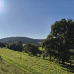 Stage de jeûne de 7 jours dans les Vosges