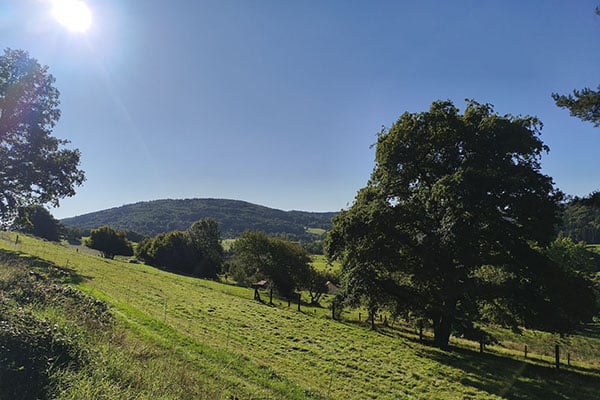 Stage de jeûne de 7 jours dans les Vosges